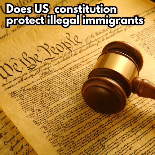 does the constitution protect illegal immigrants