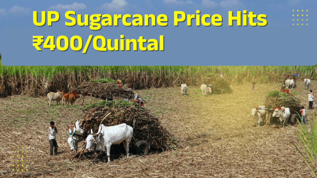 UP Sugarcane Price Hits ₹400/Quintal UP Sugarcane Price Hits ₹400/Quintal
